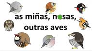 As outras aves